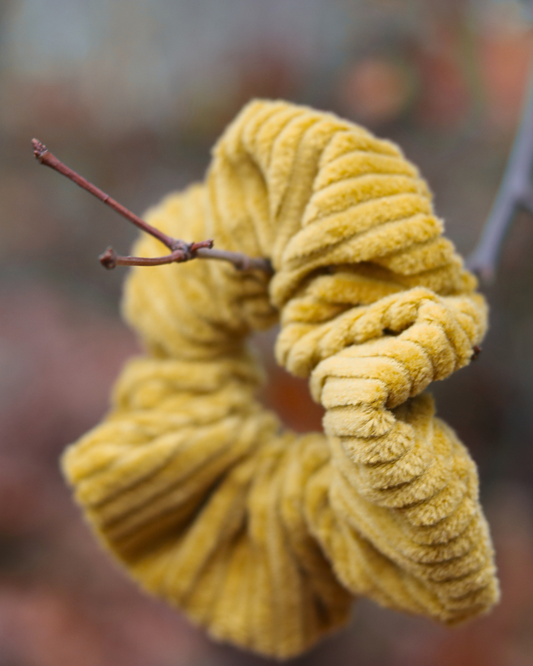 Golden Twist Scrunchie - Okergeel